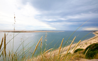Cap sur le bassin, analyses précises et élégance océane raffinée