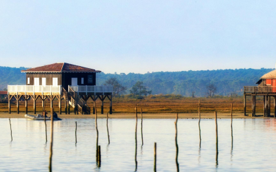 Plongée sensorielle au cœur des quartiers authentiques du bassin d’arcachon